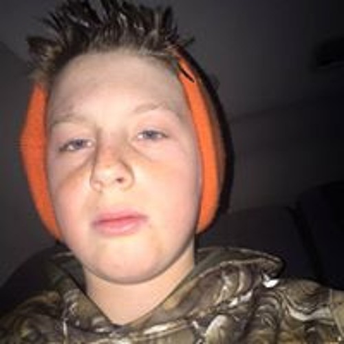 Dylan harp sale