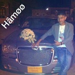 HaMo ElKholy