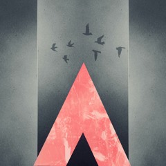 Amy.H