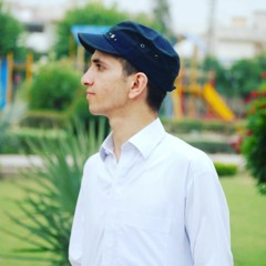 Malik Shamsulhaq