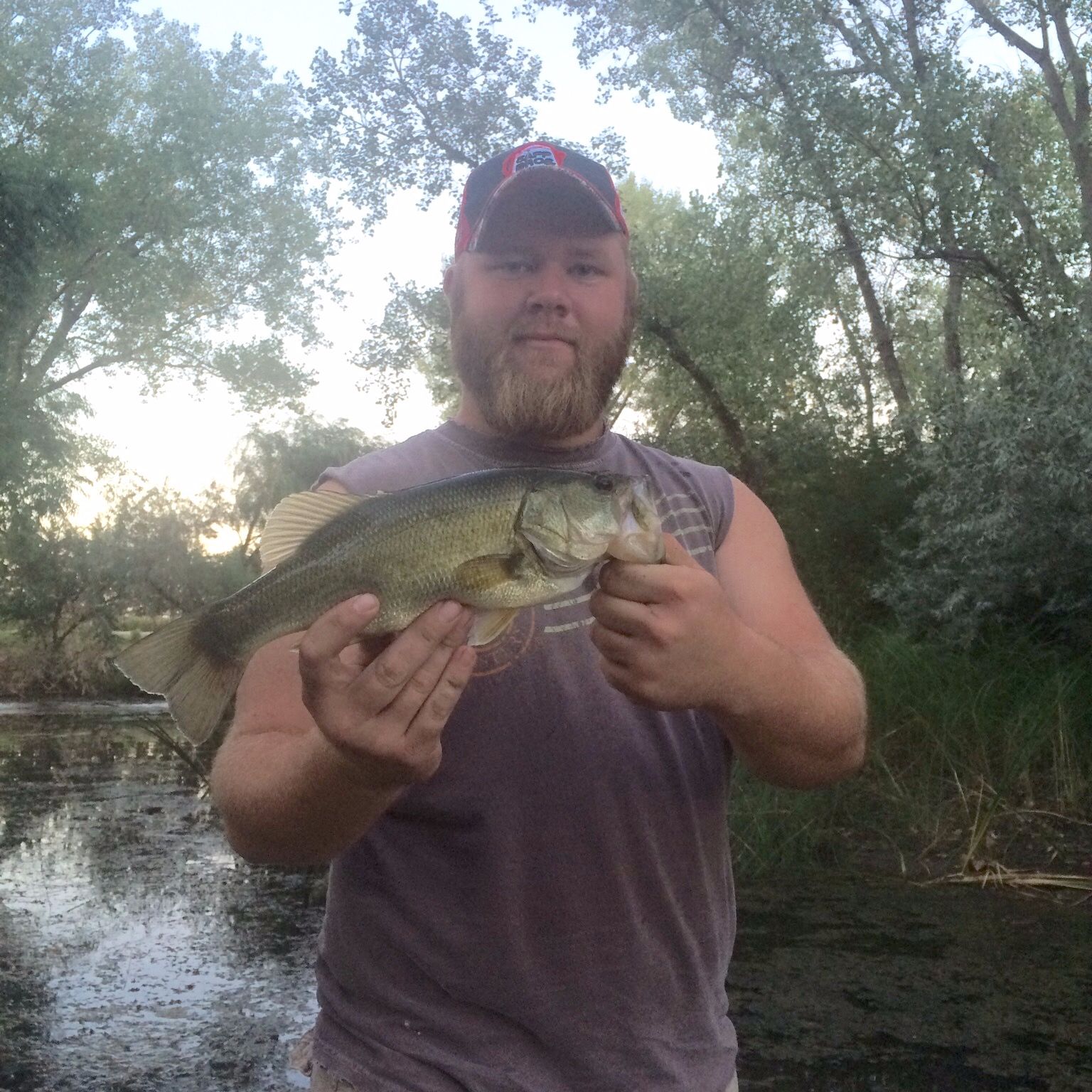 Pondjunkie
