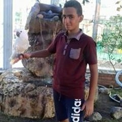 الجوكر