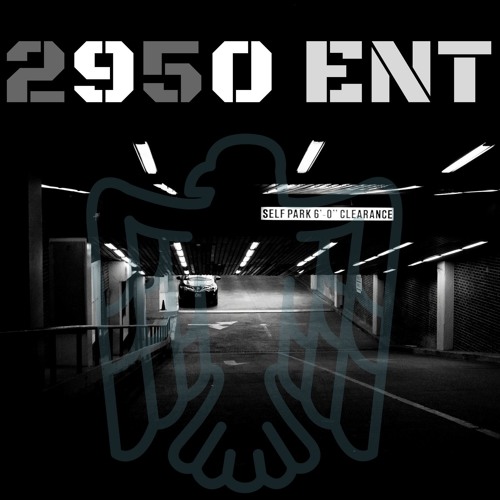 2950 Entertainment’s avatar