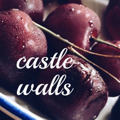 CASTLE WALLS