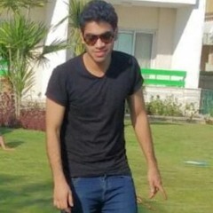 Haythem  A. Youssef
