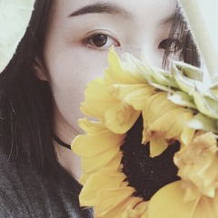 Hải Âu