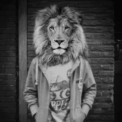 Mark Lion ✪