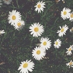 ♥