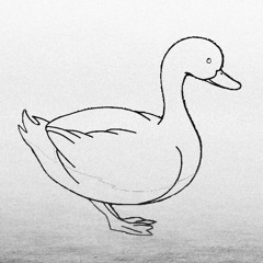 Inactive Duck