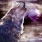 IMC.Wolf