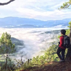 Francis Castillo Diaz