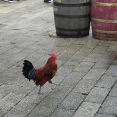 James Andersen, Just Me.