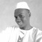 Ahmed SaifEldeen