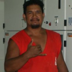 REHUA Terii