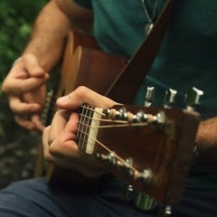 Matt Avellino