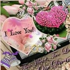 NonaTarek Noratarekhashim