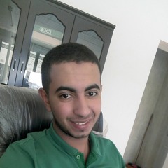 Mohamed Reda Hussien