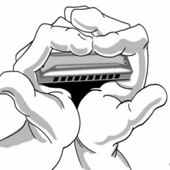 ♫♫ HarmonicaHoser