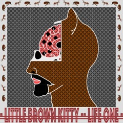 Little Brown Kitty
