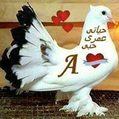 ابو كريم