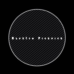 Elektro Picknick (GER)