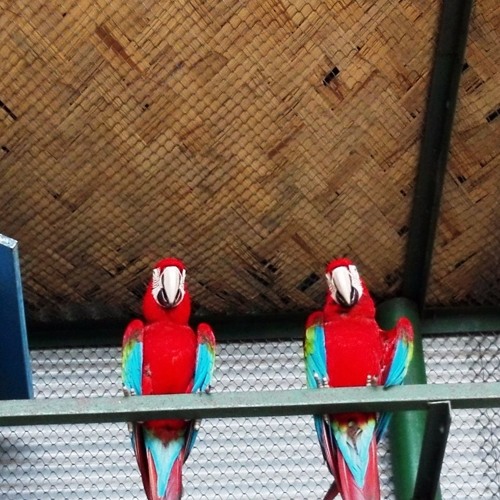 এই পথ যদি না শেষ হয়