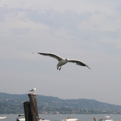 Christofer Nordström