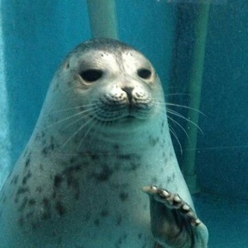 Markul - На Горизонте