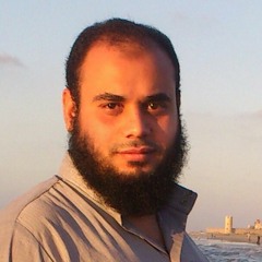 سيد شاهين