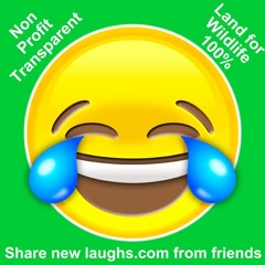 newlaughs.com