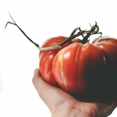 Encyclopedia Botanica