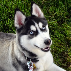 خطبة الامام علي