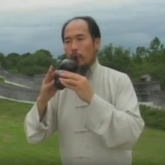 Master Shen Wu