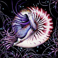 paradoxicalrealities