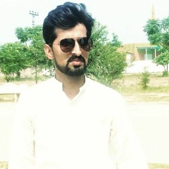 Ali Moazzam Abbas