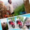Jayesh Parikh