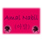amal h.banna