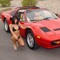 Dusty Ferrari