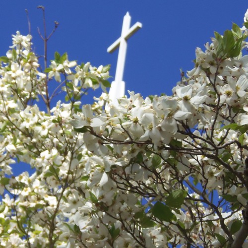 Stream is there no balm in gilead by rev dennis r sheppard by