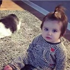 shimaa yakout