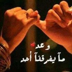 Elsayed Gamal
