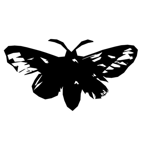 Hello Moth’s avatar