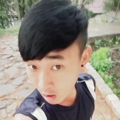 User 668445341