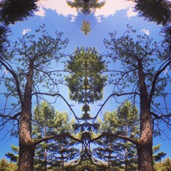 Angels with Filthy Souls