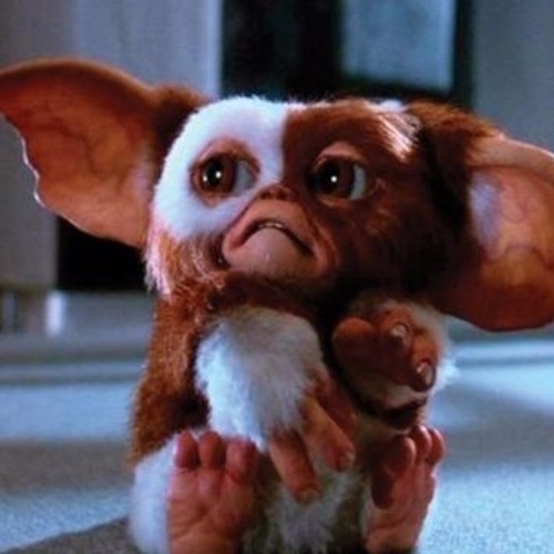 gizmo box somewhere