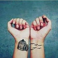 مصطفي صبحي