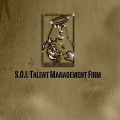 S.O.I. Talent Management Firm