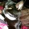 prissy
