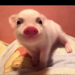 Yvoonnee Angeelaa