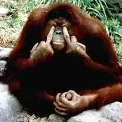 Stream Deaf Monkey Likes Porn music | Listen to songs, albums ...